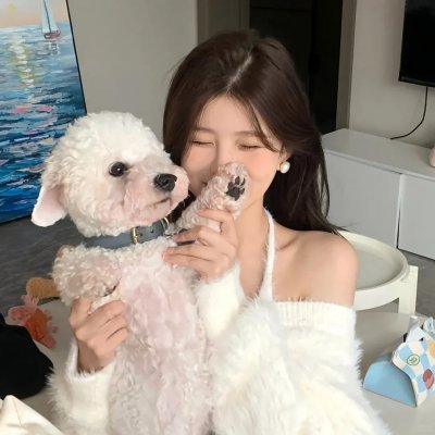狐狸女士第二季