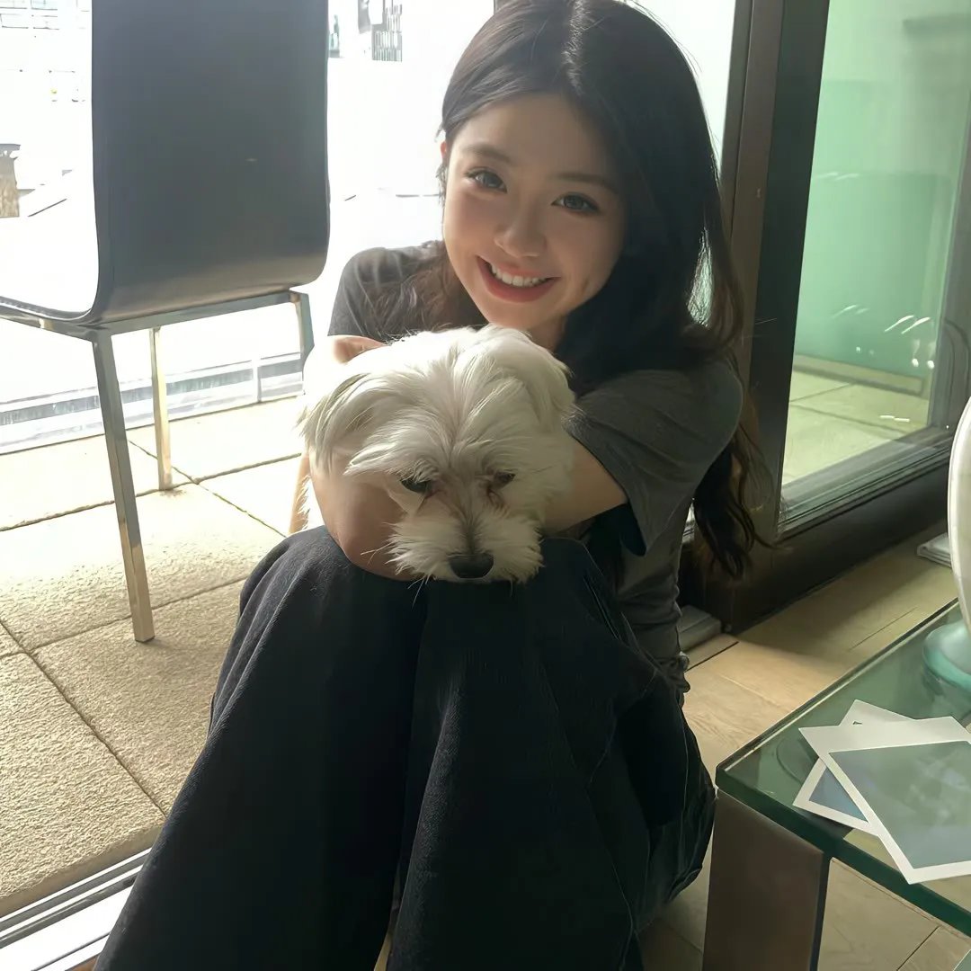 狗狗人生